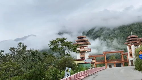 去林芝墨脱怎么玩 墨脱旅游攻略看这里 穿越最后的西藏秘境 像莲花般盛开的墨脱 知乎 