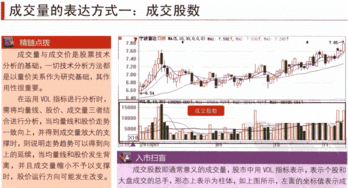 股市中说的成交量和成交金额是什么意思？