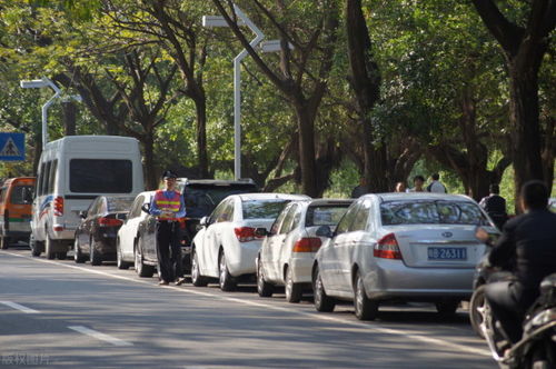 路口多少米之内不能停车(十字路口停车场道口圆弧标准)