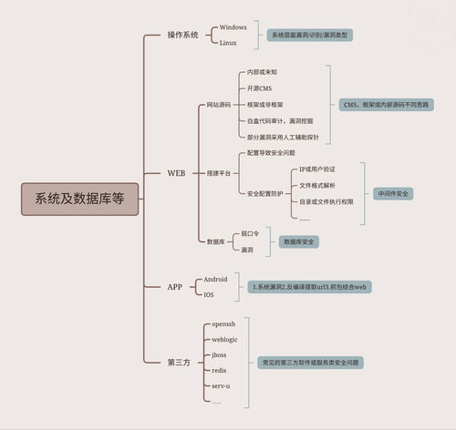 DAY5 系统及数据库等