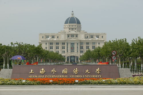 上海的大学有哪些