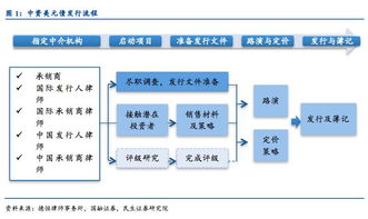 租用海外服务器的流程步骤是什么