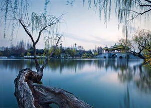 扬州最佳旅游时间,扬州，这座位于中国东部的历史文