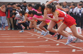 小学运动会报道稿(小学运动会报道稿五年级50字到100字)