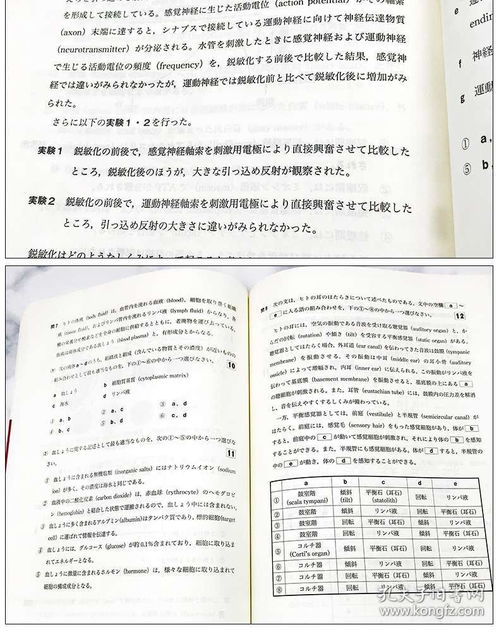 参加日语等级考试，有什么值得推荐的学习资料？(图1)