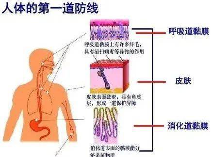 大医生来了 容易被忽视的肿瘤 皮肤肿瘤如何治疗