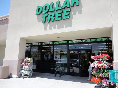 dollar tree beebe ar,Location and Accessibility