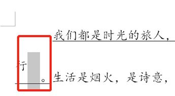 如何将word文档中的文字与下划线分开