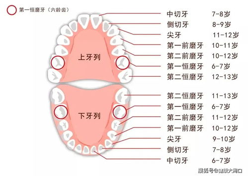 孩子长了双排牙,我后悔莫及 最伤孩子牙齿的不是糖,竟然是