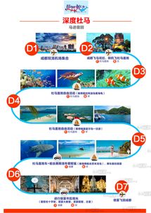 四川国际旅行社,四川国际旅行社：您的理想旅游伙伴