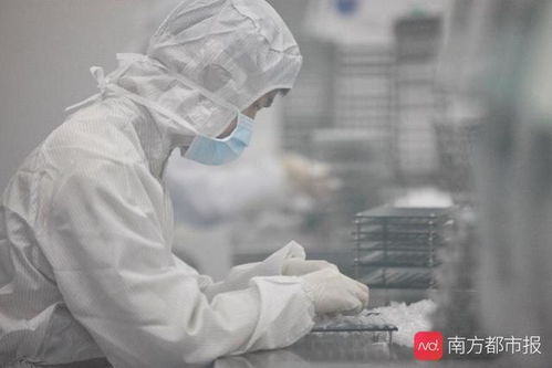 黄埔6家企业研发出新型冠状病毒检测试剂盒,有企业日产20万份