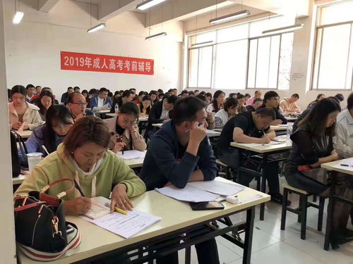 宁波学历提升报名中心：实现教育梦想的助力站