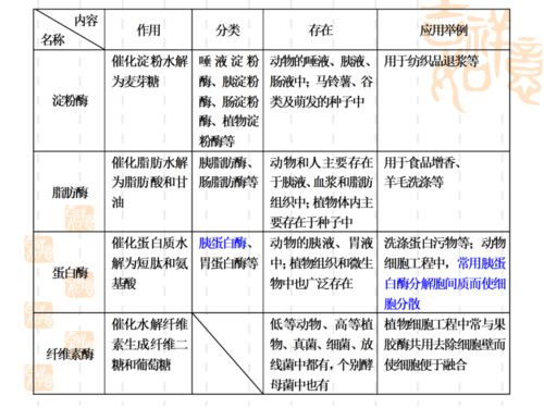 高中生物所有酶总结