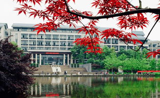 四川比较好的大学有哪些