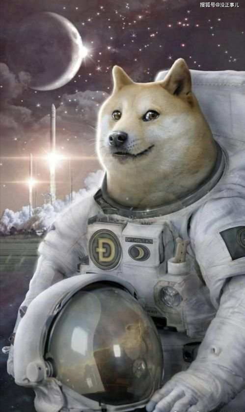  doge狗狗币拿5年可以吗,doge是什么币种？ USDT行情