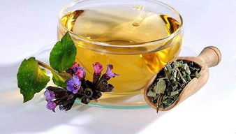 山西女性养生茶价格：健康美丽，从一杯茶开始