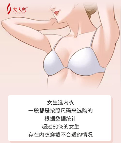 女人最标准的胸型是什么样的 好吧,我酸了