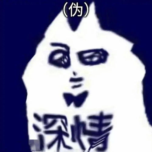 zhaosf进不去了