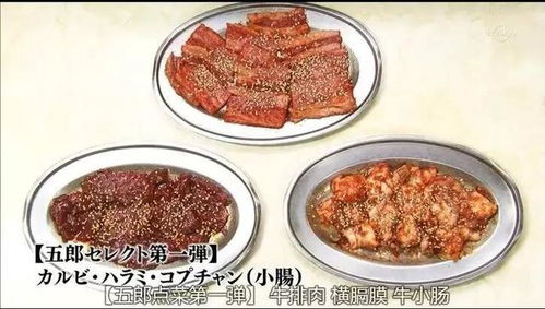 最和风的日本烤肉 大阪烧肉双子烤肉 