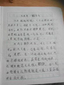 有关名言的作文