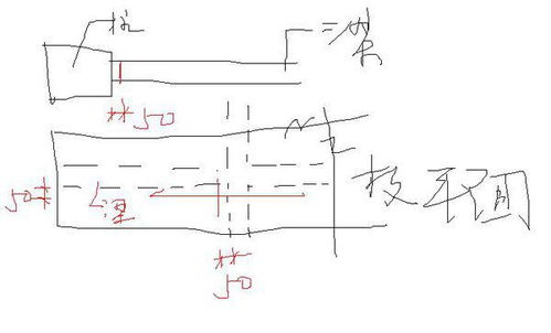 在计算钢筋根数时为什么有些要保护层厚度而有些不减?