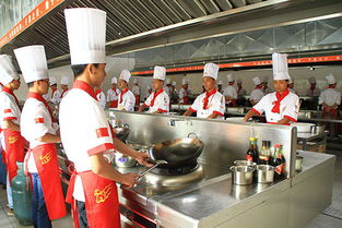 芜湖厨师技术培训学校：烹饪艺术之旅的起点