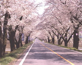 带您360 玩转北海道 悠游旅游网 