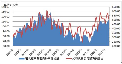 白羽肉种鸡生产监测分析报告