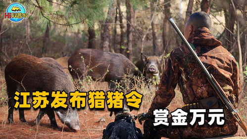 猎捕的意思,狩猎的定义。的海报