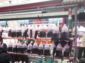 北京花鸟鱼虫市场在哪,北京四大花鸟鱼虫市场