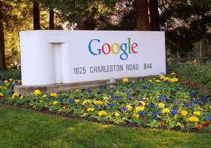 google大陆入口,谷歌大陆入口:全球最大的搜索引擎门户网站。
