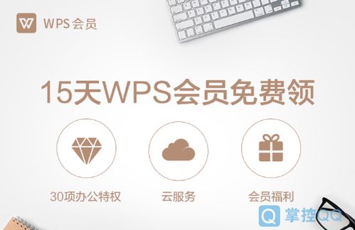 免费领WPS会员及稻壳会员超多链接建议收藏