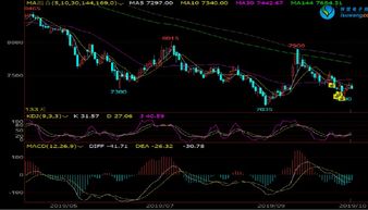 沪指下跌0.50%，石油石化行业跌幅领先