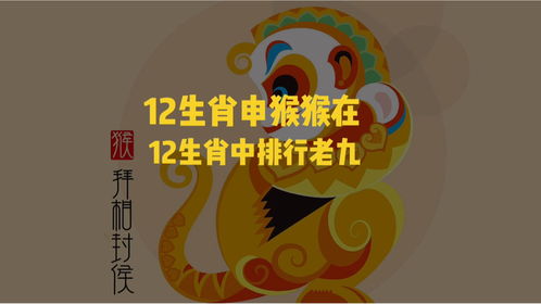 12生肖猴讲解.本命年那年有哪些习俗讲究 