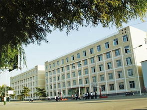 内蒙古经贸学校高铁,内蒙古经贸学校高铁开通助力校园发展