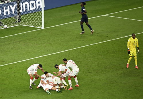 突尼斯对阵法国队阵容法国队替补都没上场吗