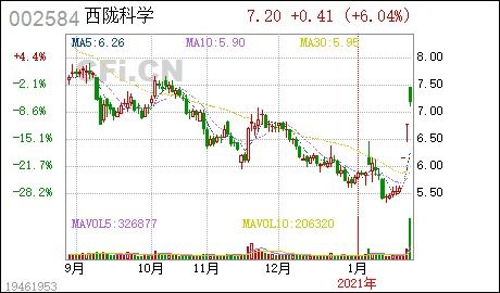 西陇科学股票