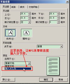 WPS文字怎么利用分节符进行特殊排版 教你方法 