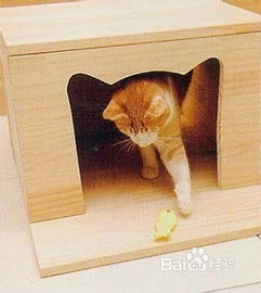 给猫做个小屋 DIY 
