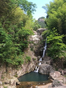 温州瓯海泽雅景区一日游