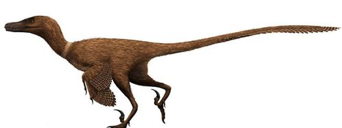 侏罗纪世界2出现暴虐迅猛龙,真实的迅猛龙可不是这样的 