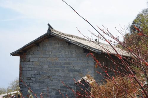 行走在高黎贡山 恍若一场穿越时空之旅 给你最为震撼的极致体验