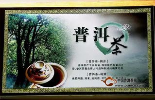 普洱茶简介和来源,普洱茶的背景介绍
