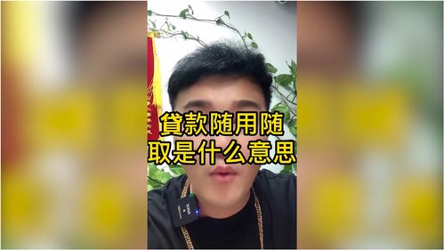 贷款随意随取是什么意思 