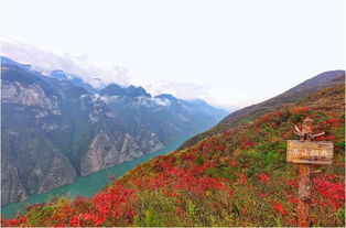 巫山如何 变 金山银山 探访巫山旅游的转型之路