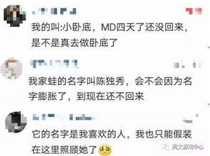 没有想到有一天我竟会为一只青蛙操碎了心 旅行青蛙这只游戏让你联想到了什么 