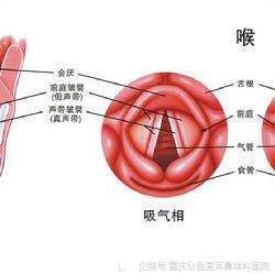 重庆弘医堂耳鼻喉医院讲解 导致咽喉干燥的病因有哪些