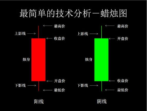 有能预测下一根K线怎么走的方法吗?