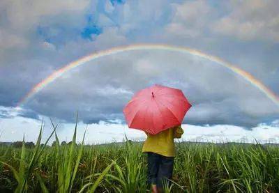 生活如雨，撑伞原谅