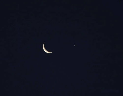 合盘月亮与金星相位